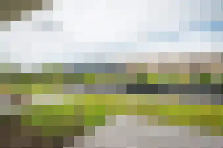 De Boei 18 Emmeloord thumbnail 14