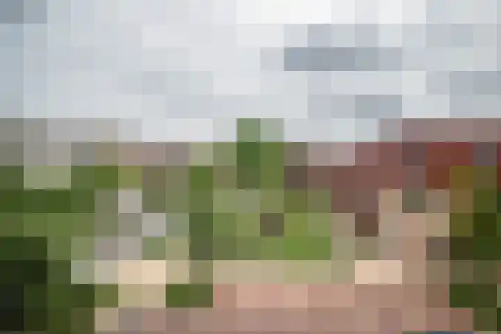 De Boei 18 Emmeloord thumbnail 20