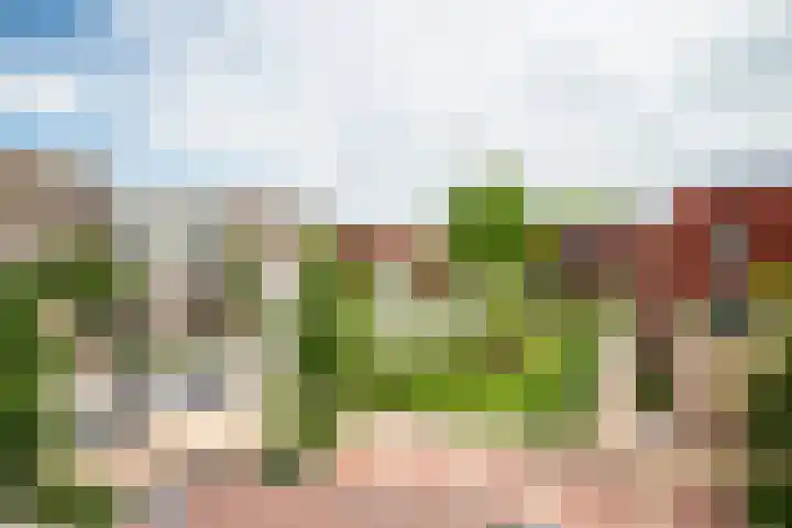 De Boei 18 Emmeloord thumbnail 7