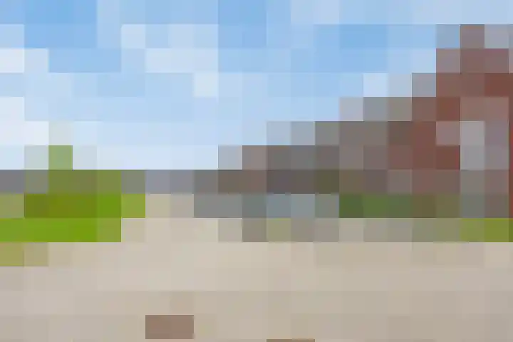 De Boerenkermis 2 Dronten thumbnail 30