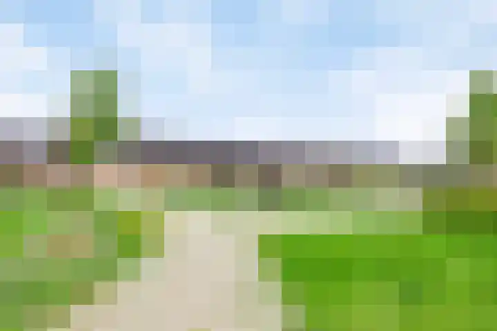 De Boerenkermis 2 Dronten thumbnail 33