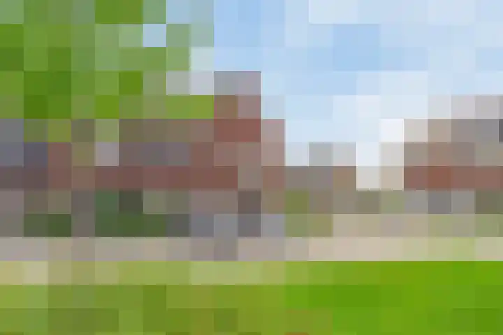 De Boerenkermis 2 Dronten thumbnail 6