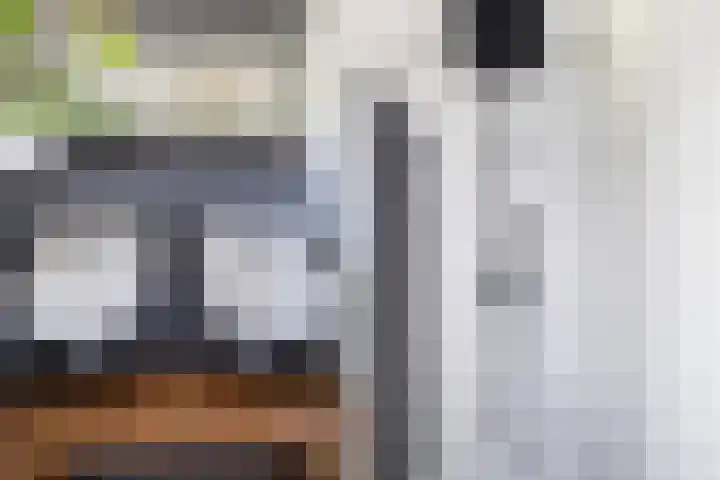 De Bogerd 1 Berlicum thumbnail 11