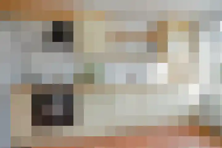 De Bogerd 1 Berlicum thumbnail 13