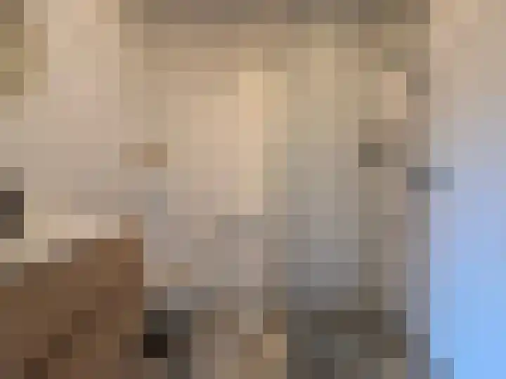 De Bogerd 1 Berlicum thumbnail 18