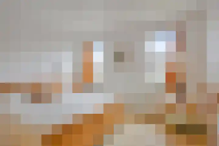De Bogerd 1 Berlicum thumbnail 19