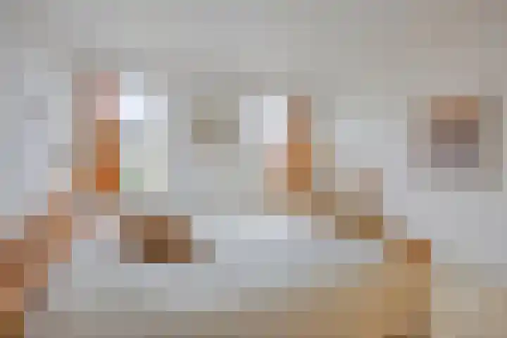 De Bogerd 1 Berlicum thumbnail 22