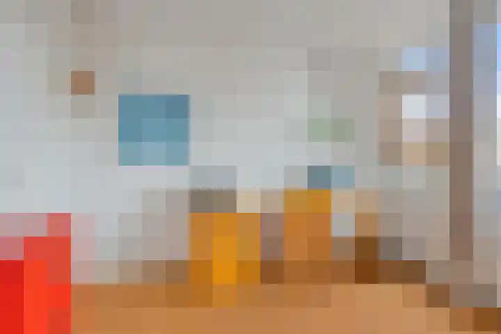 De Bogerd 1 Berlicum thumbnail 24