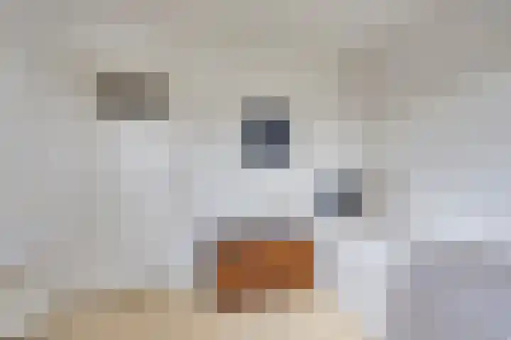 De Bogerd 1 Berlicum thumbnail 27