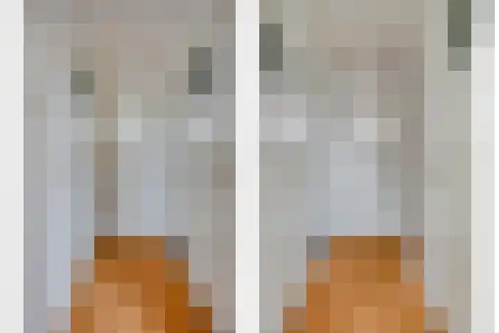 De Bogerd 1 Berlicum thumbnail 29