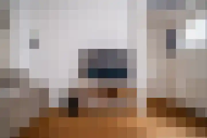 De Bogerd 1 Berlicum thumbnail 30