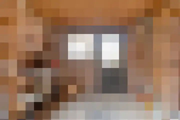 De Bogerd 1 Berlicum thumbnail 42