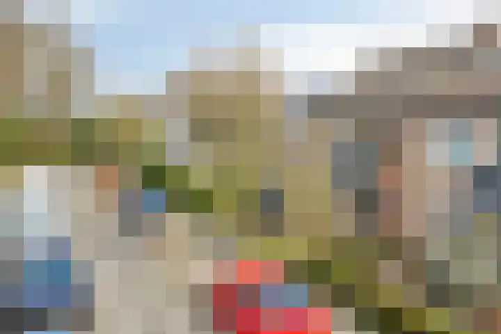 De Bogerd 1 Berlicum thumbnail 45