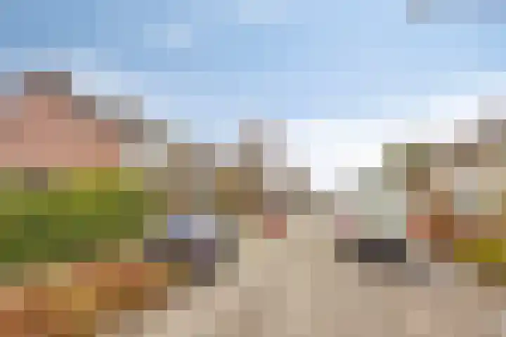 De Bogerd 1 Berlicum thumbnail 46