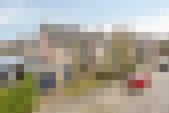 De Bogerd 1 Berlicum thumbnail 49