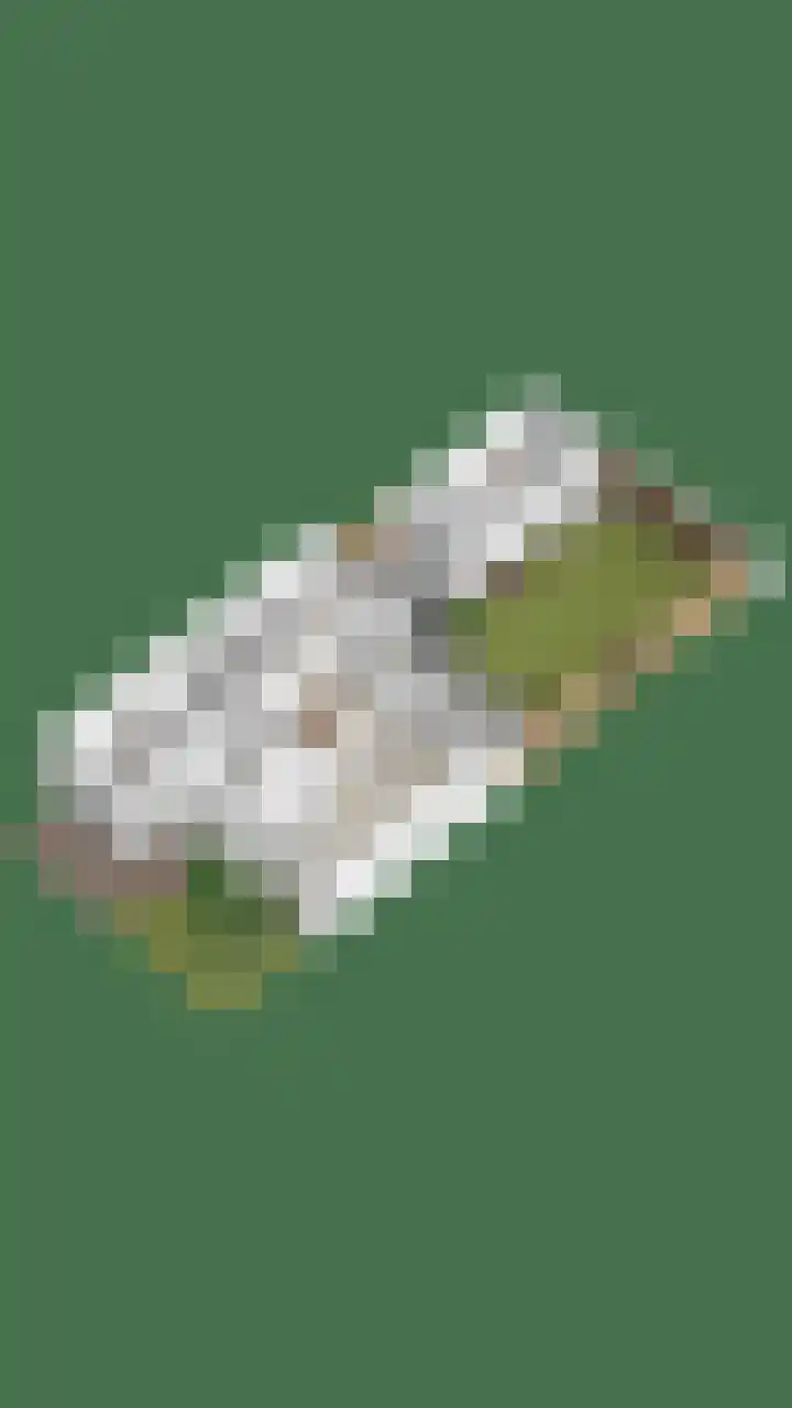 De Bogerd 1 Berlicum thumbnail 59