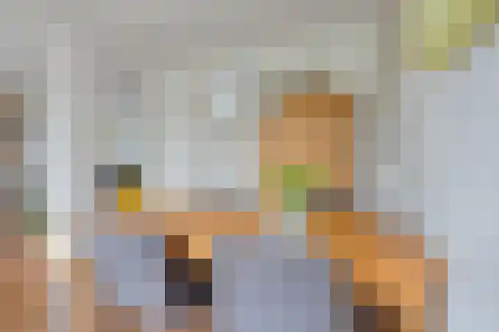 De Bogerd 1 Berlicum thumbnail 9