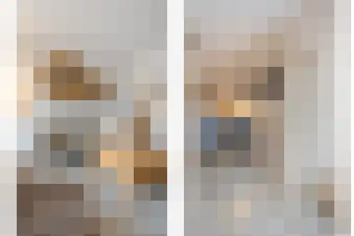 De Bogerd 10 Horssen thumbnail 11