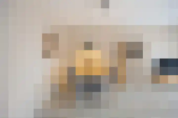De Bogerd 10 Horssen thumbnail 12