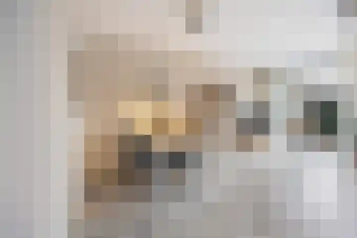 De Bogerd 10 Horssen thumbnail 13