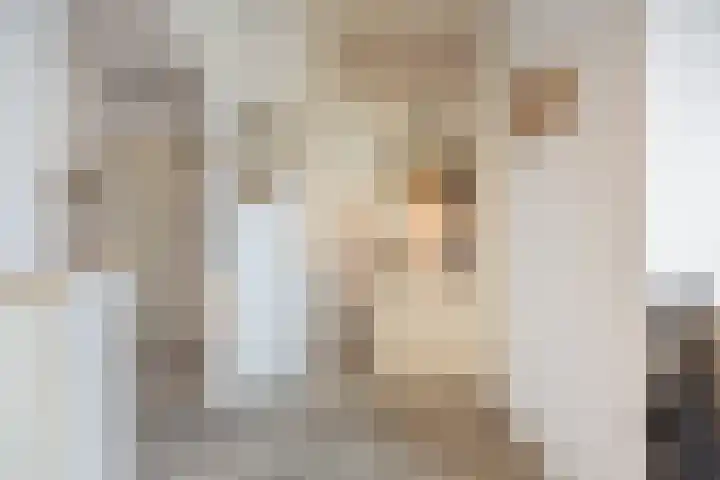 De Bogerd 10 Horssen thumbnail 15
