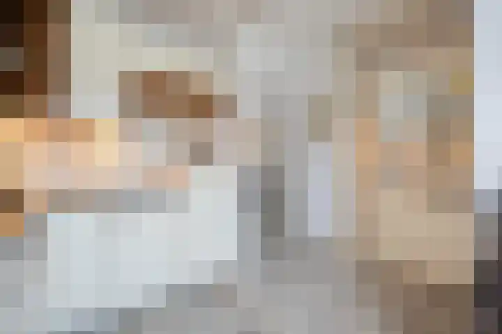 De Bogerd 10 Horssen thumbnail 17