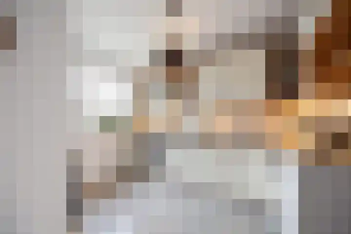 De Bogerd 10 Horssen thumbnail 20