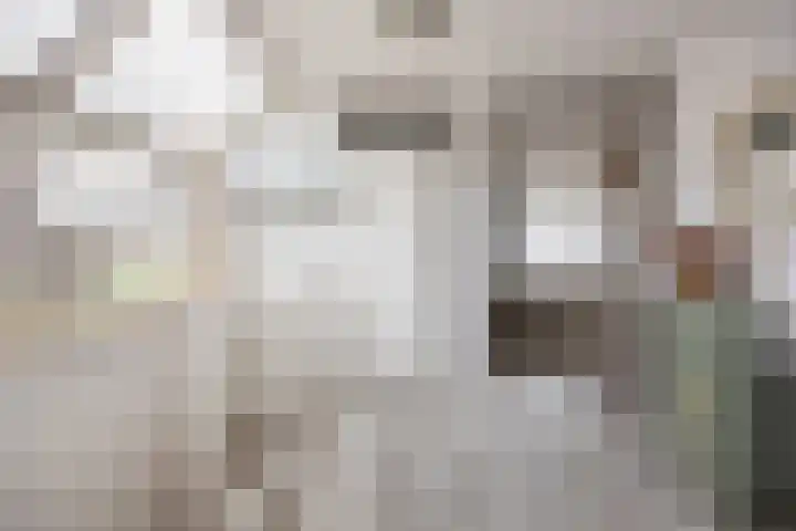 De Bogerd 10 Horssen thumbnail 25