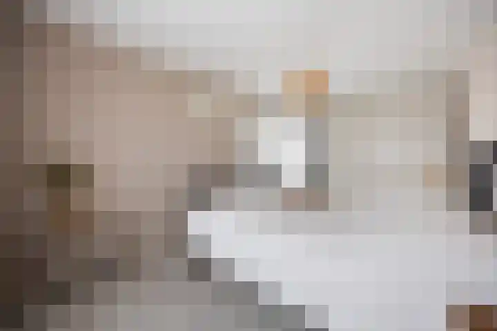 De Bogerd 10 Horssen thumbnail 29