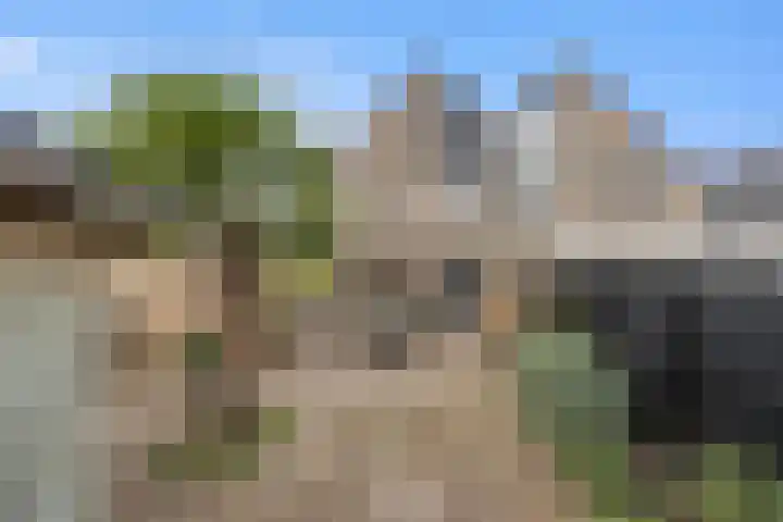 De Bogerd 10 Horssen thumbnail 4