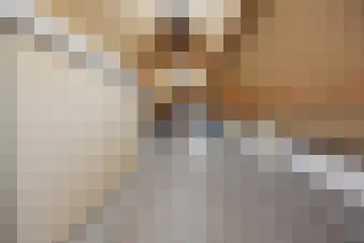 De Bogerd 10 Horssen thumbnail 42