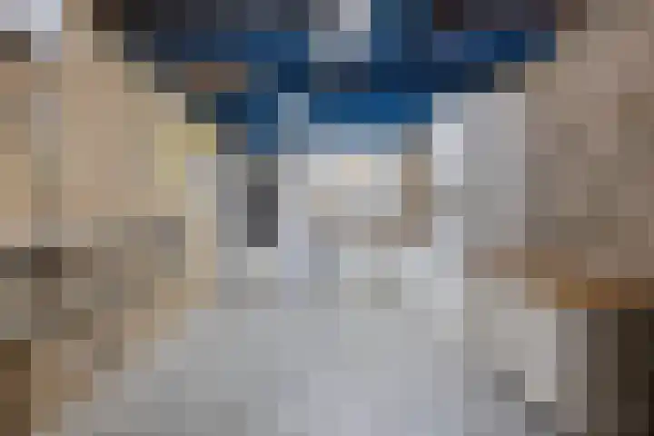 De Bogerd 10 Horssen thumbnail 43