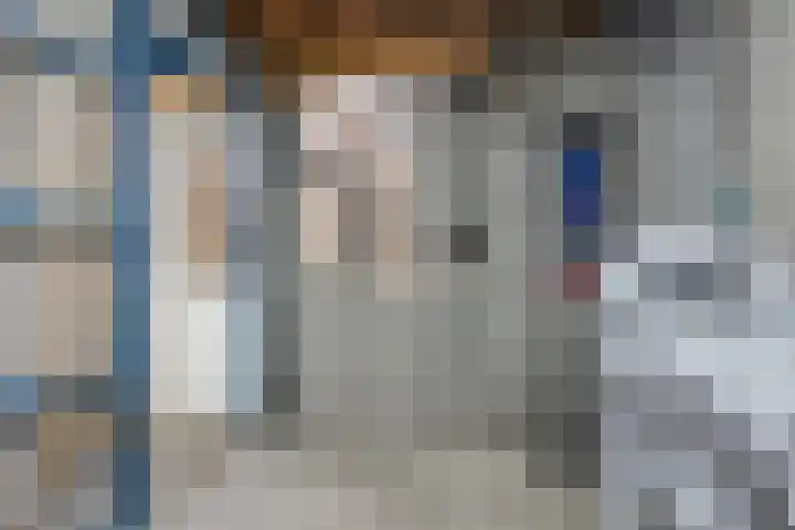 De Bogerd 10 Horssen thumbnail 46