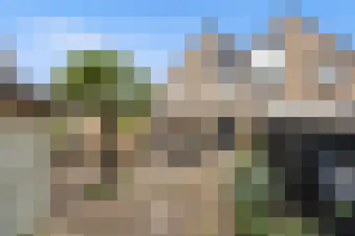 De Bogerd 10 Horssen thumbnail 49