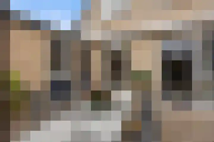 De Bogerd 10 Horssen thumbnail 51