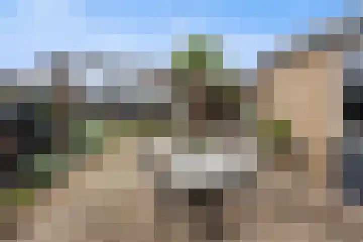 De Bogerd 10 Horssen thumbnail 52