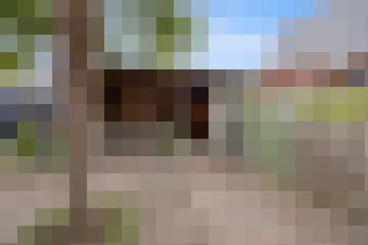 De Bogerd 10 Horssen thumbnail 53