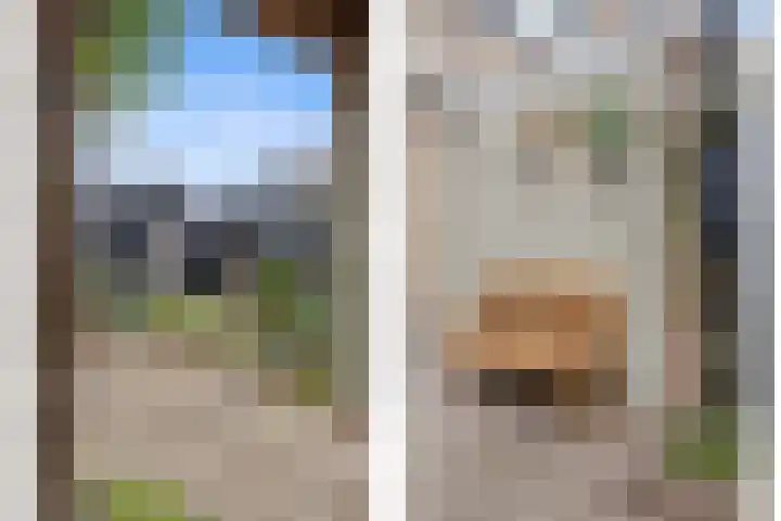 De Bogerd 10 Horssen thumbnail 54