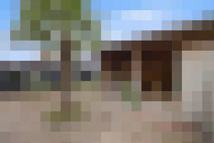 De Bogerd 10 Horssen thumbnail 55