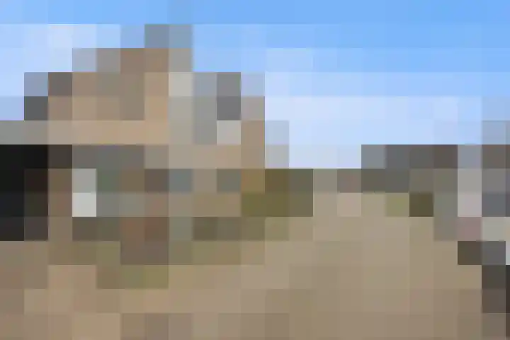 De Bogerd 10 Horssen thumbnail 64