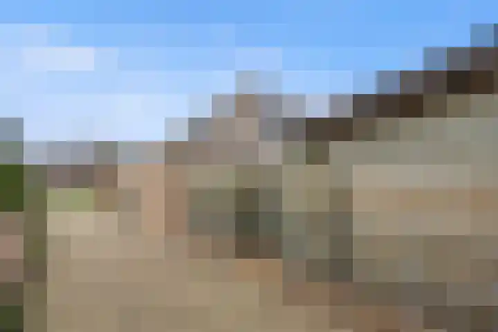De Bogerd 10 Horssen thumbnail 65
