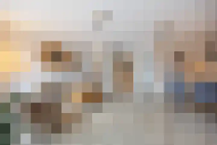 De Bogerd 10 Horssen thumbnail 9