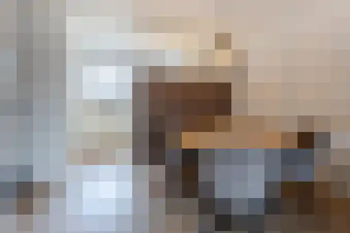 De Bogerd 26 Ameide thumbnail 14