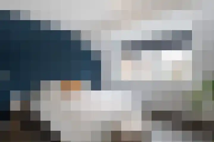 De Bogerd 26 Ameide thumbnail 17
