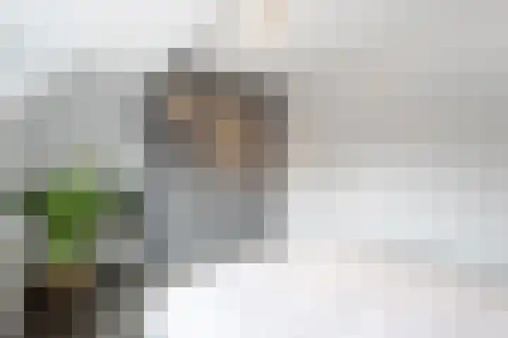 De Bogerd 26 Ameide thumbnail 18