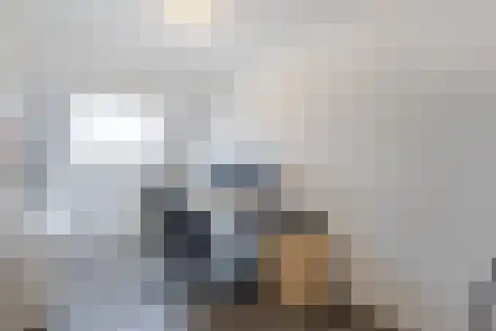 De Bogerd 26 Ameide thumbnail 19