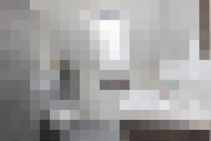 De Bogerd 26 Ameide thumbnail 20
