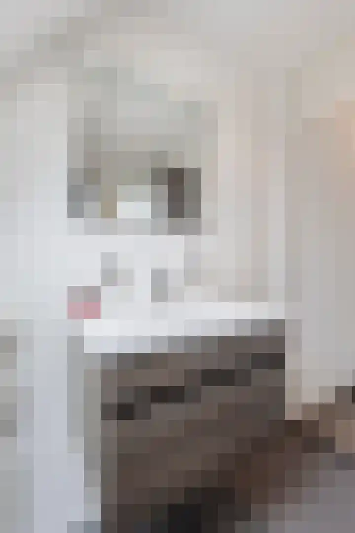 De Bogerd 26 Ameide thumbnail 21