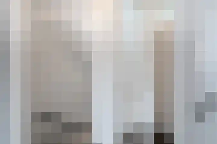 De Bogerd 26 Ameide thumbnail 23