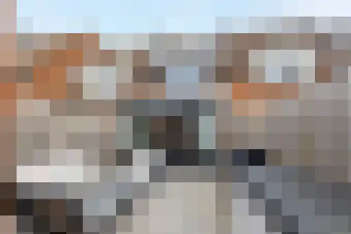 De Bogerd 26 Ameide thumbnail 25